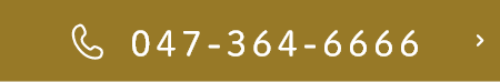 047-364-6666
